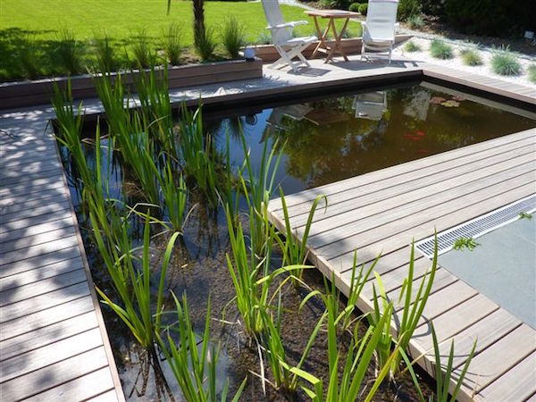 Terrasse en bois exotiques