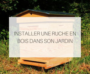 Une ruche dans son jardin