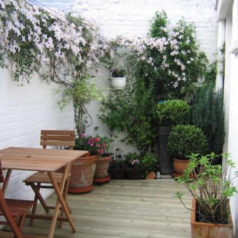 Terrasse en pin