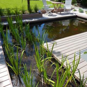 Terrasse en bois exotiques