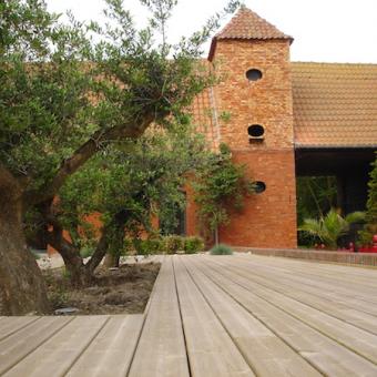 Terrasse en pin