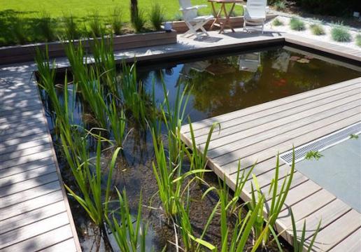 Terrasse en bois exotique PADOUK entourage bassin à poissons - PHALEMPIN ( 59 )