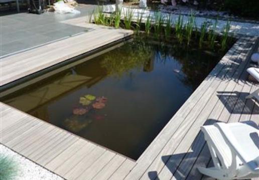 Terrasse en bois exotique PADOUK entourage bassin à poissons - PHALEMPIN ( 59 ) 