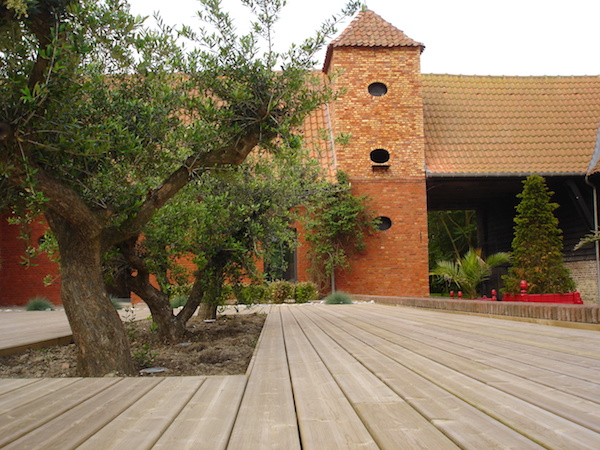 Terrasse en pin